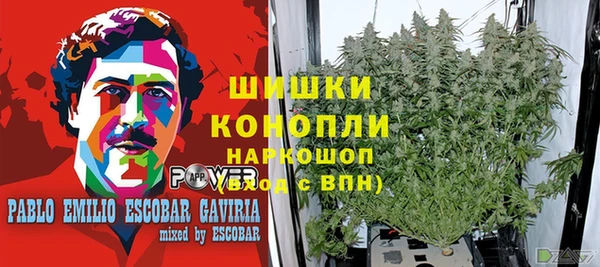 спиды Волоколамск