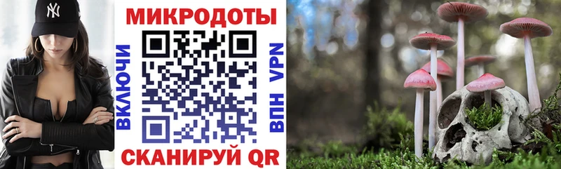 Галлюциногенные грибы Psilocybine cubensis  Купить где  Темников 